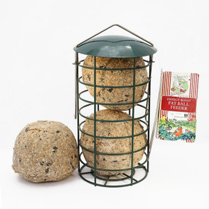Premium Large Fat Balls For Birds