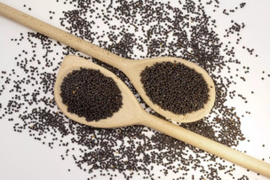Kennedy Wild Black Rapeseed Bird Seed