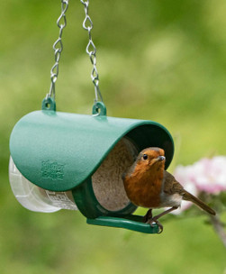 Flutter Butter Starter Pack for Wild Birds