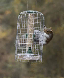 Jacobi Jayne Birdfeeder Guardians