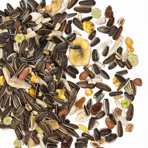 Kennedy Wild Premium Parrot Mix