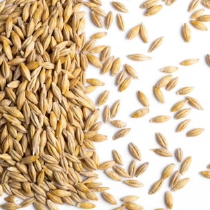 Kennedy Wild Whole Barley