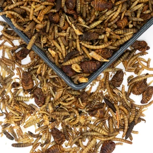 Kennedy Wild Ultimate Dried Insect Mix