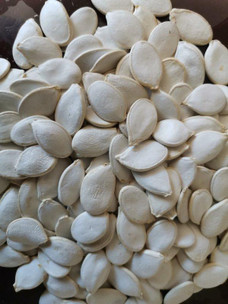 Kennedy Wild White Pumpkin Seeds in Shell