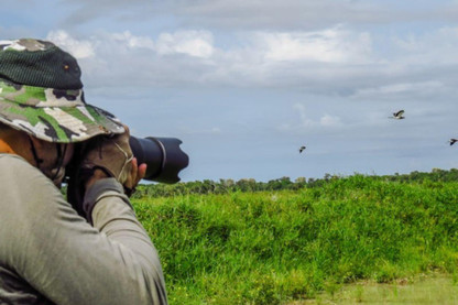 The Big Garden Birdwatch Results 2022