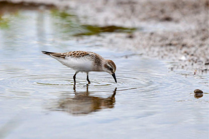 Autumn Wildlife Highlights