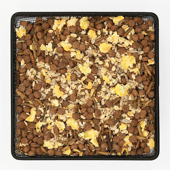 Kennedy Wild Hedgehog Mix WildLife Feed