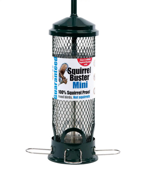 Squirrel Buster Mini Seed Feeder