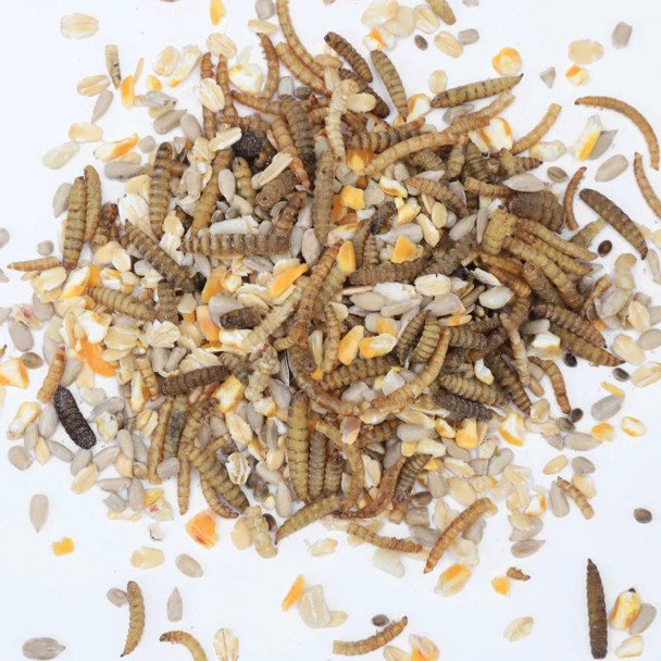 Kennedy Wild Worm And Seed Blend Bird Food