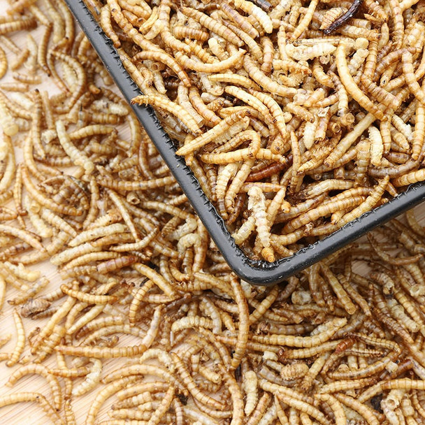 Kennedy Wild Dried Mealworms