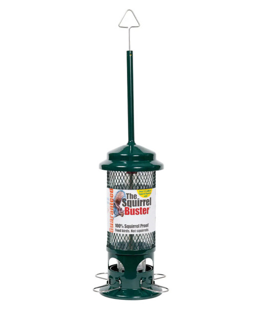 The Squirrel Buster Bird Feeder