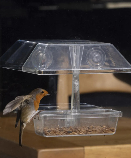 Jacobi Jayne UpClose Window Feeder