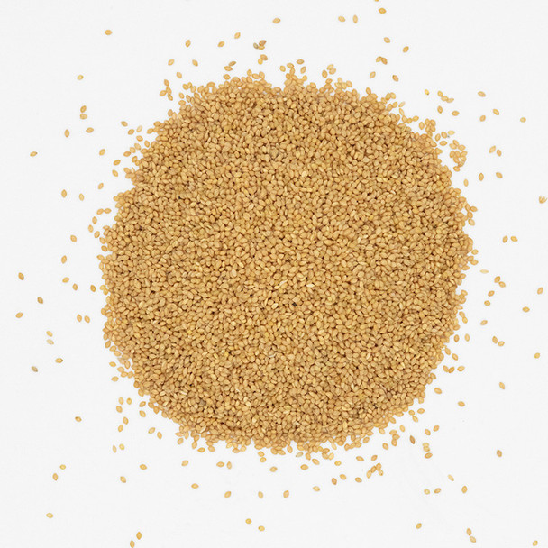 Kennedy Wild Panicum Millet Bird Seed