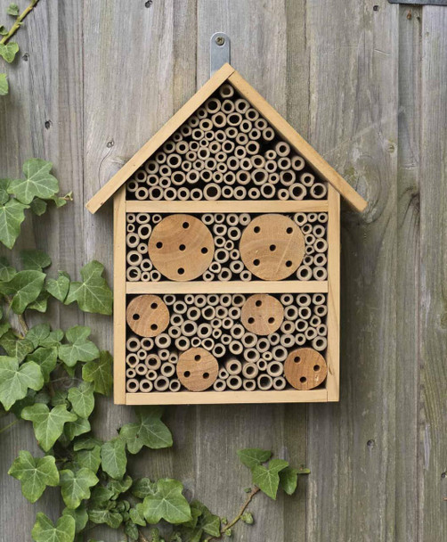 Jacobi Jayne Nooks & Crannies Large Insect House