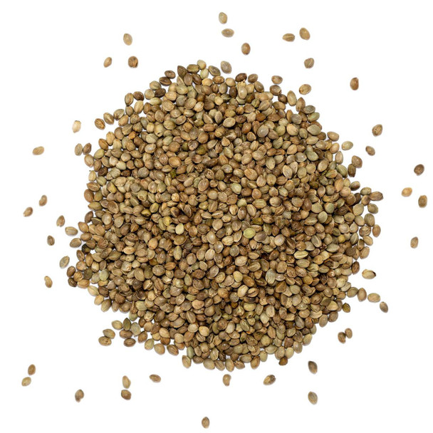 Kennedy Wild Large Huge Hemp Seed