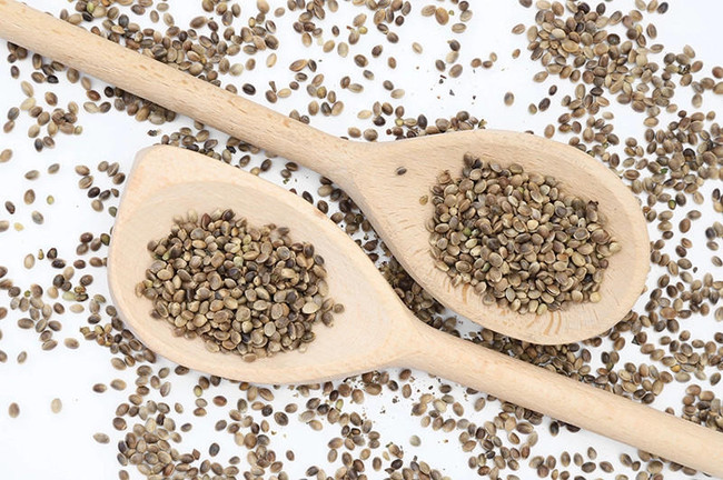 Kennedy Wild Premium Hemp Enriched Seed