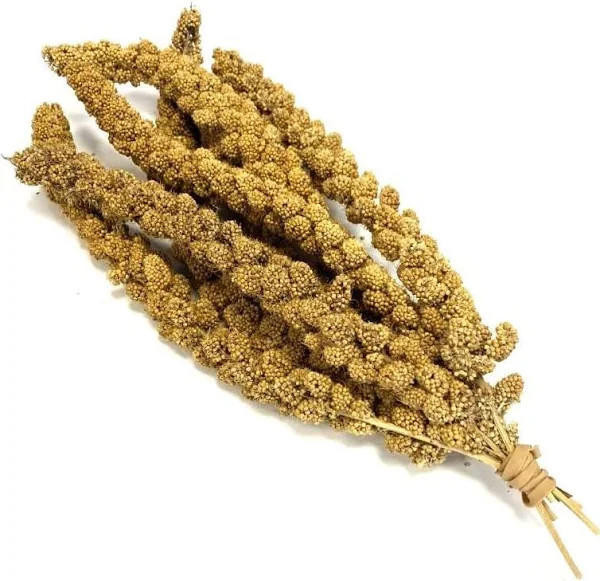 Large Natural Yellow Millet Sprays