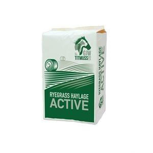 Titmuss Active Ryegrass Haylage - Bale