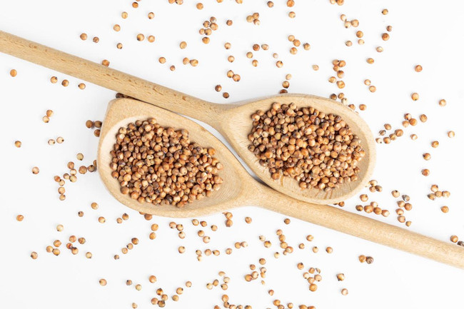 Kennedy Wild Red Dari Bird Seed