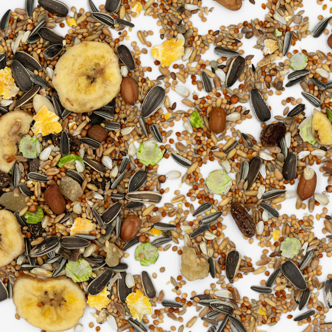 Kennedy Wild Premium Conure & Parrot Mix - Aviary Birds