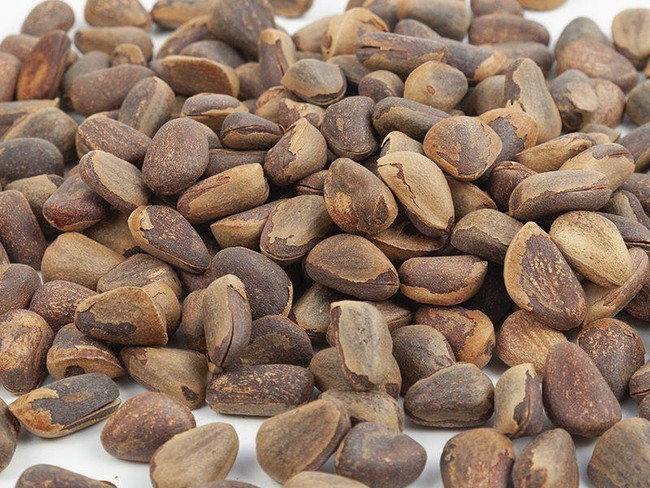 Kennedy Wild Pine Nuts in Shell