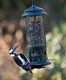 The Squirrel Buster Bird Feeder