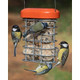 Jacobi Jayne Premium Suet Feeder