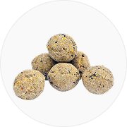 Suet Special Feed