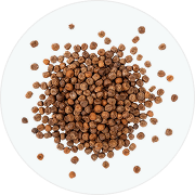 Straight Seeds