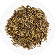 Mealworms Feed
