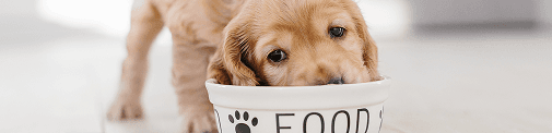 DRY FOOD