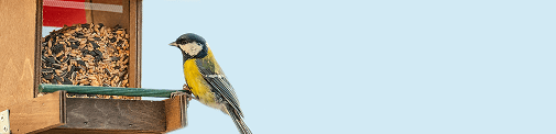 Suet & Fat Ball Feeders