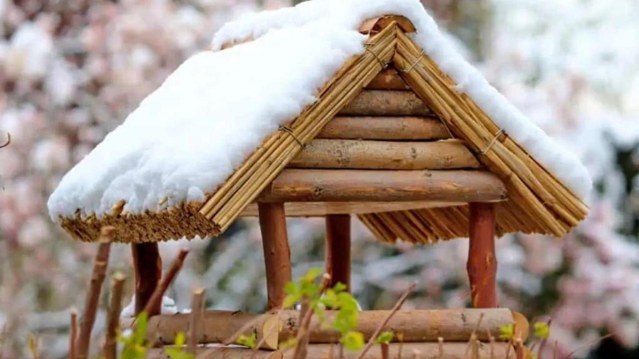 How To Make A Bird Feeding Station Kennedy Wild Bird Food & Pet Supplies