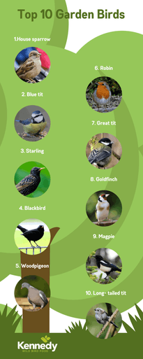 an infographic showing the top ten garden birds 2021