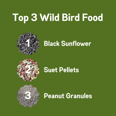 top three bird food