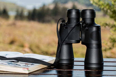 beginner birdwatching benefits