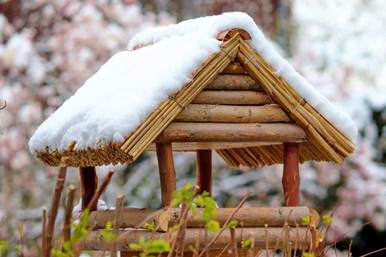 a bird feeding station with snow on the roof