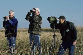 Father's Day gifts for bird watchers