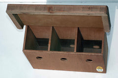 Tradional House Sparrow Nest Box