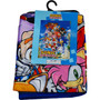 Sonic the Hedgehog: Big Group Sublimation Throw Blanket