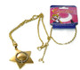 Sailor Moon: Usagi's Carillion Necklace