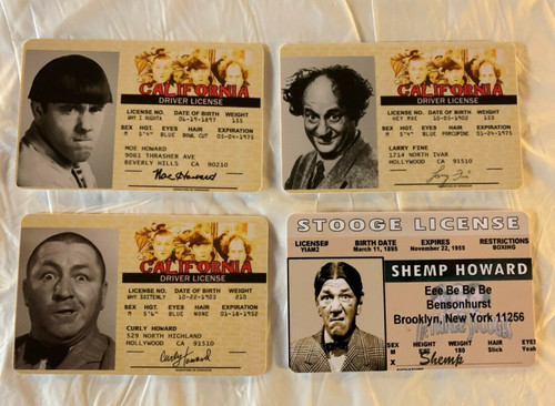 Moe Howard, Larry Fine, Curly Howard, Shemp Howard, Moe, Larry, Curly, Shemp, Moe Larry & Curly, Moe Larry and Curly, Moe Larry & Shemp, Moe Larry and Shemp, Moe Larry Curly & Shemp, Moe Larry Curly Shemp,The Three Stooges, TV Show, Classic TV, Drivers License, ID, ID Card, Fake Joke ID,  Novelty Drivers License, Fake ID, Joke ID, Fake License, Joke License, Novelty ID Card, Novelty ID Man Cave Mall Mancavemall Mancavemall.com