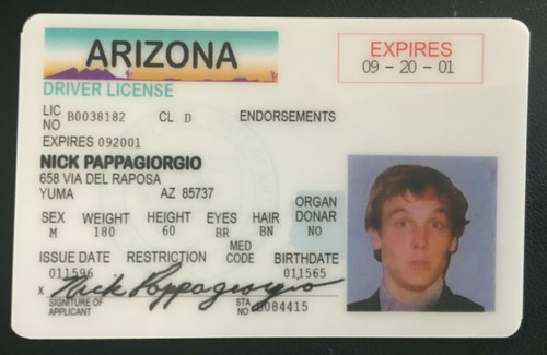 Nick Pappagiorgio Vegas Vacation Novelty Drivers License 2" x 3" Nick Pappagiorgio, Rusty, Vegas Vacation Movie, Movie, Classic Movie, Drivers License, ID, ID Card, Fake Joke ID,  Novelty Drivers License, Fake ID, Joke ID, Fake License, Joke License, Novelty ID Card, Novelty ID Mancave Man Cave Mancavemall.com Mancavemall