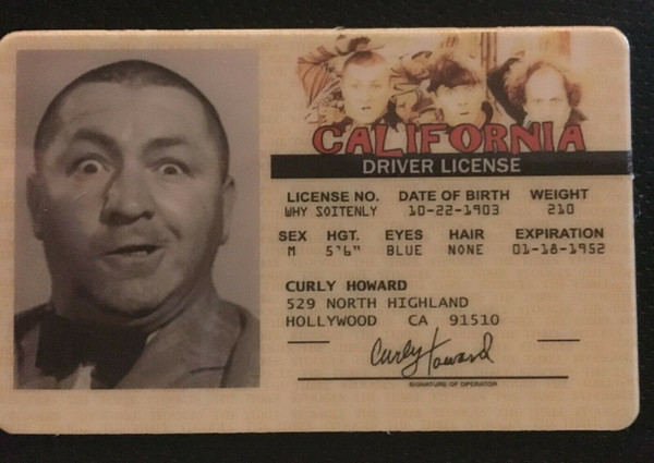 Curly Howard, The Three Stooges, Curly, TV Show, Classic TV, Drivers License, ID, ID Card, Fake Joke ID,  Novelty Drivers License, Fake ID, Joke ID, Fake License, Joke License, Novelty ID Card, Novelty ID  Man Cave Mall Mancavemall Mancavemall.com