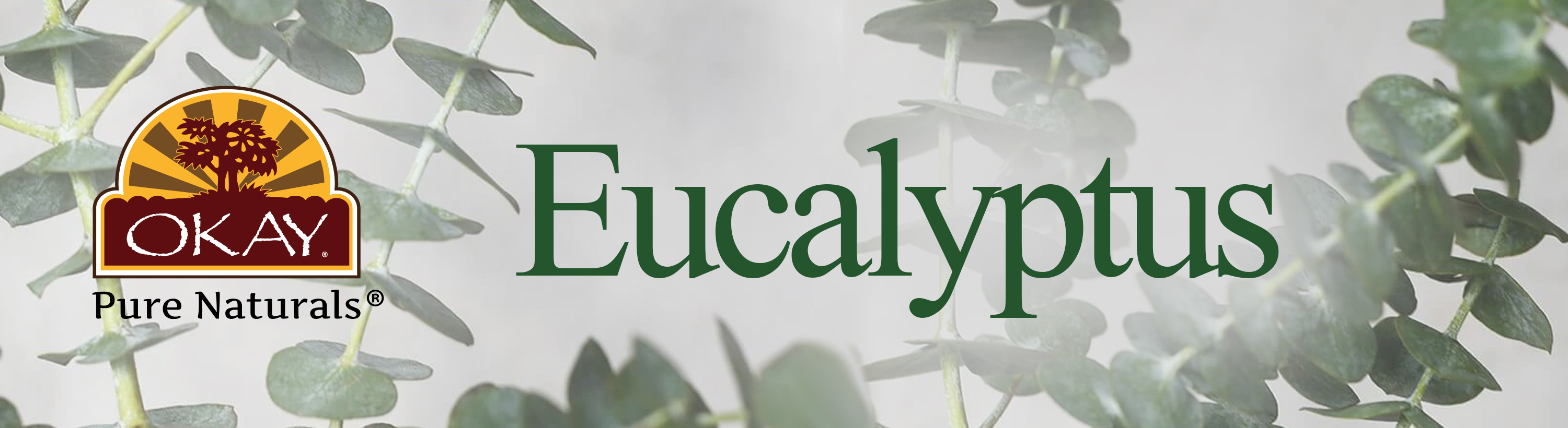 eucalyptus.jpg