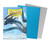 Dragon Shield Card Sleeves - Sky Blue & Silver (Matte Dual)