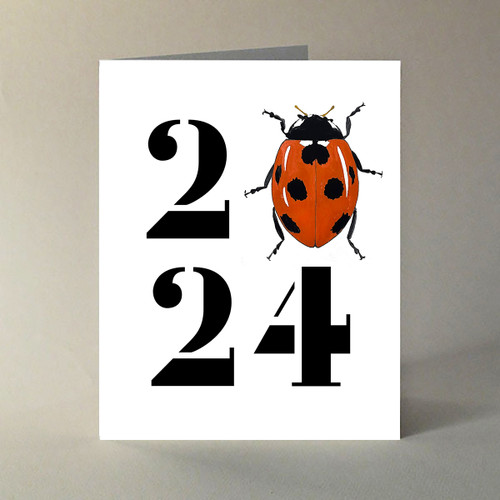 Ladybug Luck 2024 