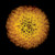 Epson archival print of computer scan by Jan Cummings Good
Special 2021 edition  16" x 16"   Unframed