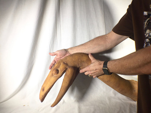 Jurassic Park, Dinosaur Raptor Head Real Prop, Veru Detailed