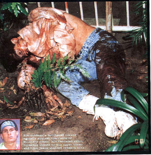 Ron Goldman Autopsy, Nicole Brown Simpson & OJ Simpson Case, PDF Download